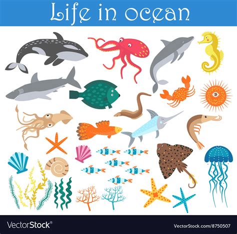 Set Of Cartoon Sea Animals Fish Life In Ocean Vector Image