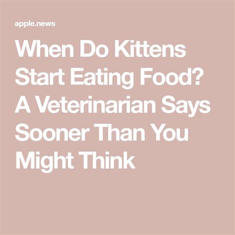 When Do Kittens Start Eating Food A Veterinarian Says Sooner Than You Might Think — Daily Paws