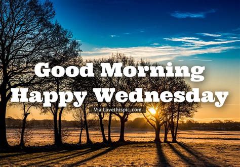 The Words Good Morning Happy Wednesday Are Shown In Front Of Trees And
