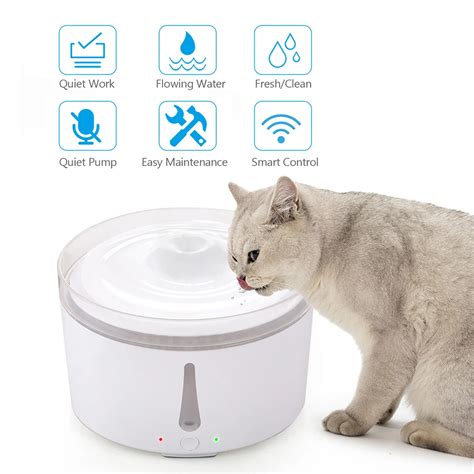 3l Wifi Smart Automatic Pet Water Fountain Silent Cat Drinking Water