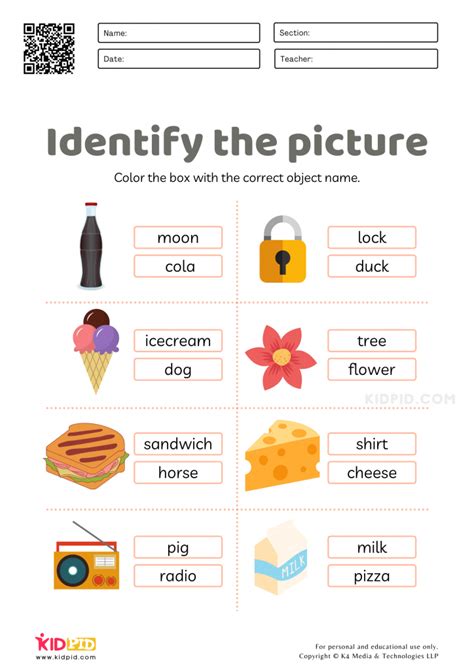 Identifying Objects Words Worksheet Object Identifying Fun Worksheet