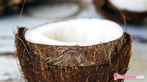 Dikatakan sebagai minyak makan paling sihat di dunia, apa salahnya kalau anda mula mengamalkan minyak kelapa dara sepanjang tempoh kehamilan agar manfaatnya dapat dirasai oleh. Cara Membuat Minyak Kelapa & Pemanfaatannya untuk ...