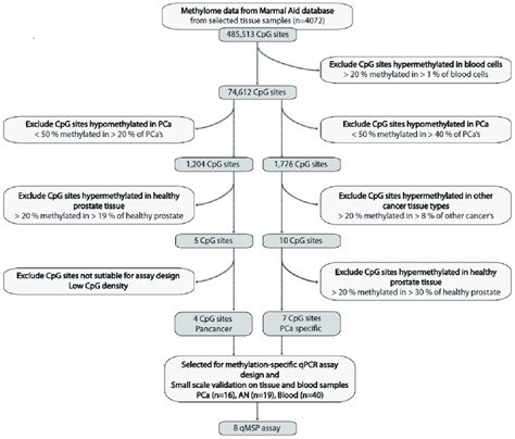 Flow Chart Of Biomarker Discovery Process Using 450k Array Data From