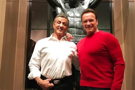 Hollywood Mates Sylvester Stallone And Arnold Schwarzenegger Enjoy A