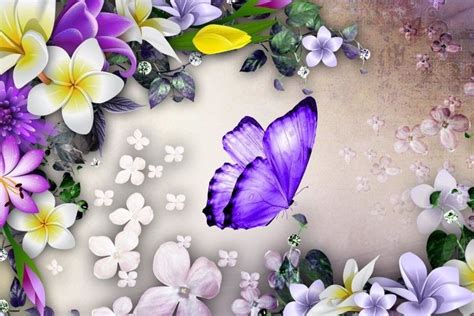 Purple Butterfly Wallpaper ·① Wallpapertag