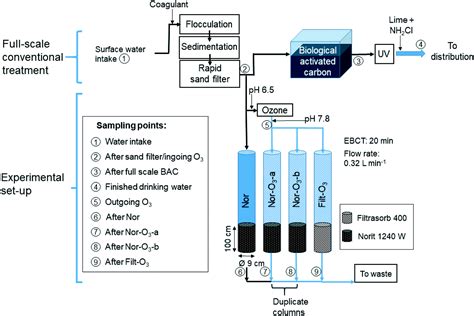 Pilot Scale Removal Of Organic Micropollutants And Natural Organic