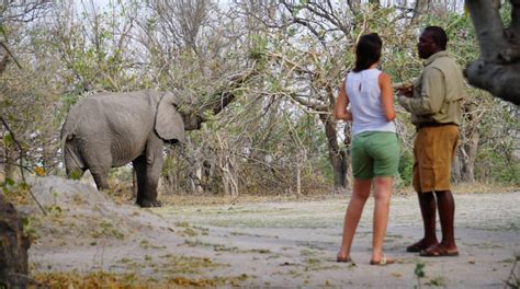 Flugsafari Botswana Wildnis Pur Mosa African Exclusive