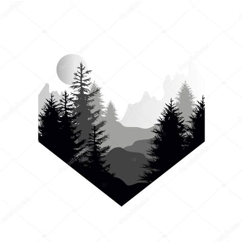 Beautiful Nature Landscape With Silhouette Of Coniferous