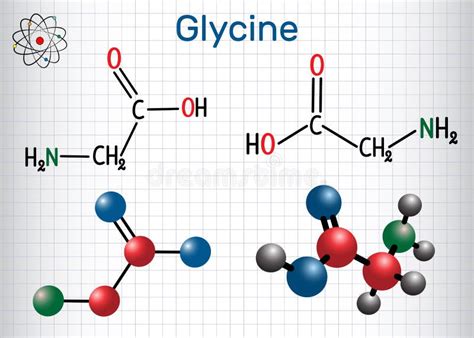Glycine Gly Or G Is The Amino Acid Structural Chemical Form Stock Vector Illustration Of
