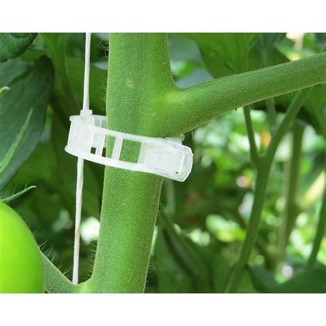 Tomato Clip Planting Support Fastener Plastic Clip Greenhouse Tomato