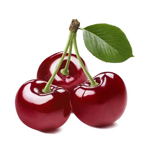 3 Red Sweet Cherries Isolated On White Background Stock Image Image
