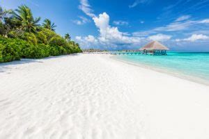Las lunas de miel en las maldivas evocan imágenes de arenas blancas, palmeras que se mecen y aguas azules cristalinas, creando la imagen por excelencia todos nuestros hoteles de las maldivas son retiros románticos que constituyen fabulosos escenarios para la luna de miel perfecta. Luna de miel Islas Maldivas - Viaje de novios Islas Maldivas