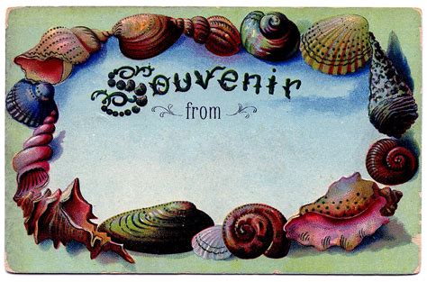 7 Souvenir Seashell Clipart The Graphics Fairy
