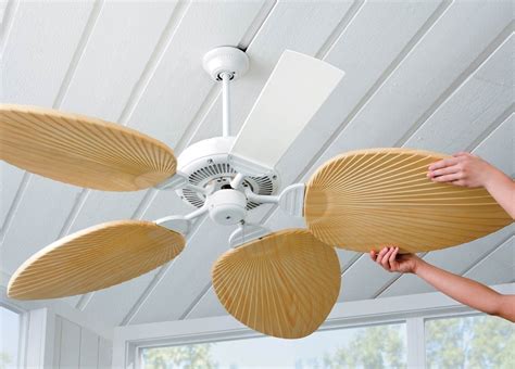 15 Amazing Ceiling Fan Blades For 2024 Storables