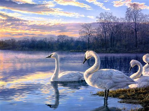 Swan Lake Sunset Landscape Birds Painting In Oil For Sale