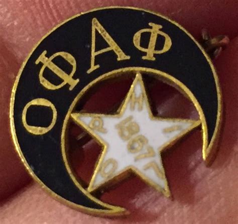 Omega Phi Alpha Phi College Frat Pin School Lapel Pin Gold Etsy