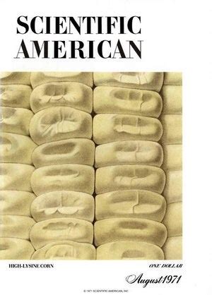 The series tells the story of a criminal investigation into the murder of the businessman paulo gomes de aguiar, at the beginning of august. August 1971 - Scientific American