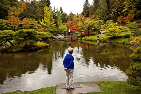 Fall Foliage At Seattle Japanese Garden The Seattle Times