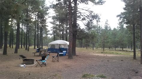 Canyon Point Campground Forest Lakes Az Opiniones Y Fotos Del