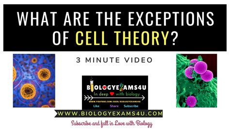 What Are The 5 Exceptions Of The Cell Theory Youtube