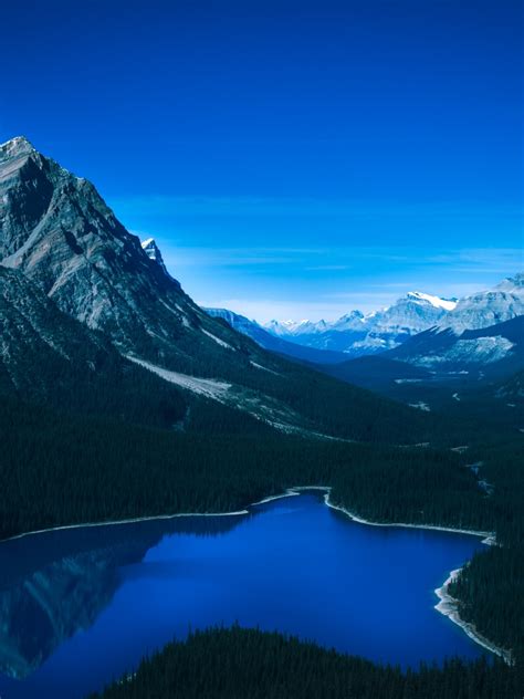Peyto Lake Wallpaper 4k Banff National Park Canada Canadian Rockies