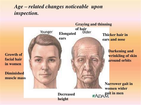 Ppt Normal Changes Of Aging Powerpoint Presentation Free Download