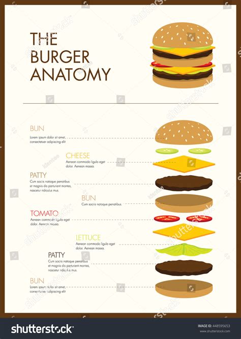 268 Burger Anatomy Immagini Foto Stock E Grafica Vettoriale