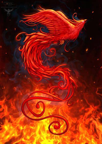 Phoenix Design2 Background By Amorphisss Mythical Birds Mythical