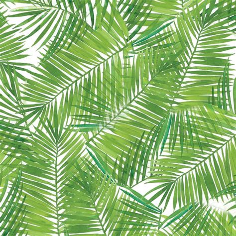 Free Download Tropical Leaf Patterns Pictures Clothingtropical 576x576