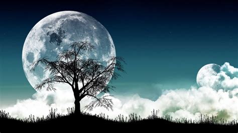 Download Moon And Tree Wallpaper Gallery