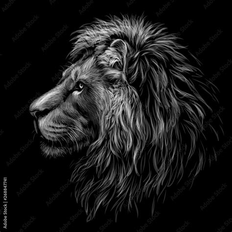 Lions Face Black And White