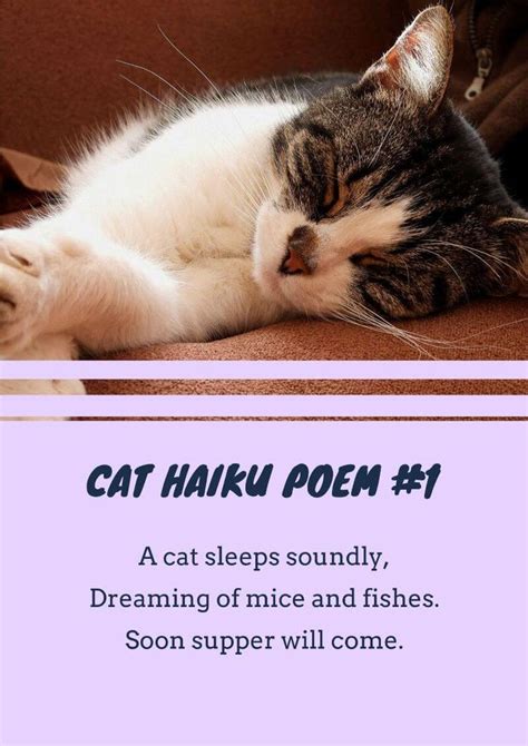 16 Cat Poems For Kids To Read 🐈 Imagine Forest Cat Poems Cats