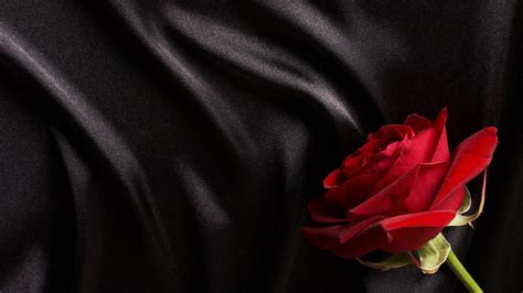 Black And Red Rose Wallpapers Top Free Black And Red Rose Backgrounds