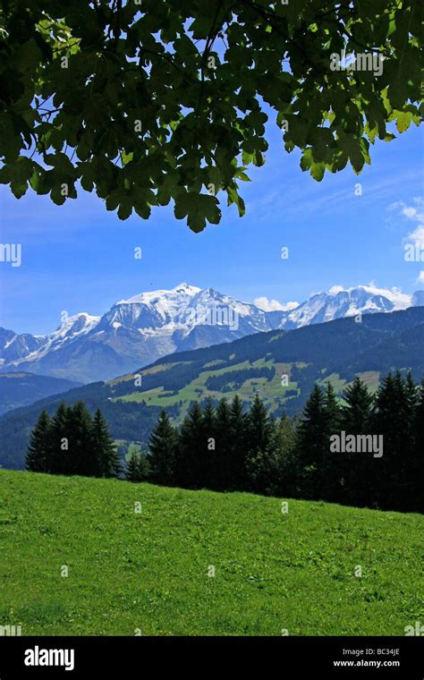 Haute Savoie (Upper Savoy): Hiking trail in the mountain Stock Photo