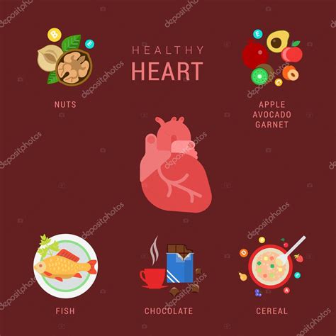 Healthy Heart Lifestyle Infographics Concept Stock Vector Image By