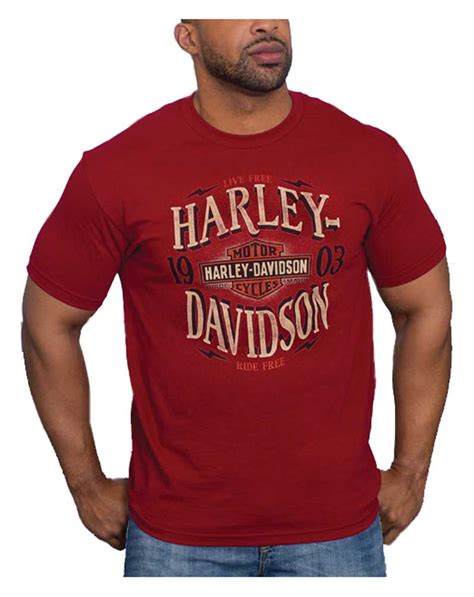 Harley Davidson Mens Distressed Bands Short Sleeve Crew Neck Cotton T