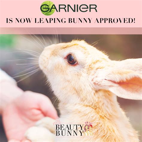 Garnier Is Now Leaping Bunny Approved My Beauty Bunny Cruelty Free Lifestyle Blog