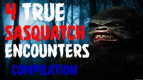 4 True Sasquatch Encounters Compilation Youtube