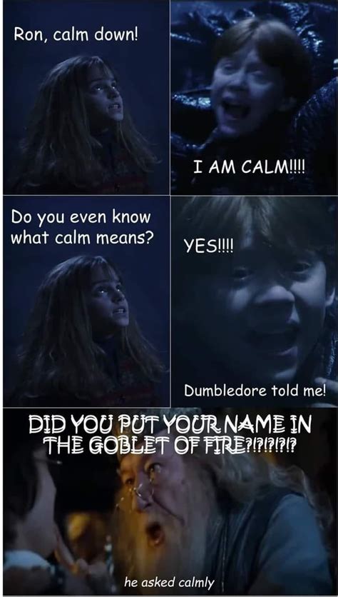 This Is Probably One Of The Funniest Dumbledore Asked Calmly Memes I