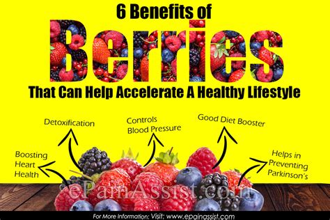6 Benefits Of Berries That Can Help Accelerate A Healthy Lifestyle