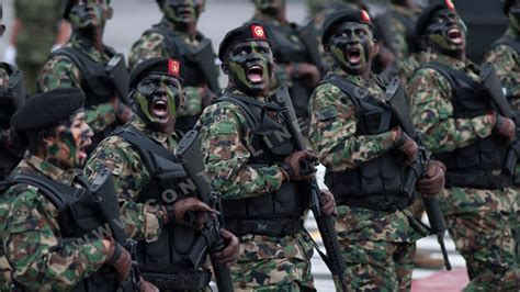 El Entrenamiento De Las Fuerzas Especiales Mexicanas Que Puedes