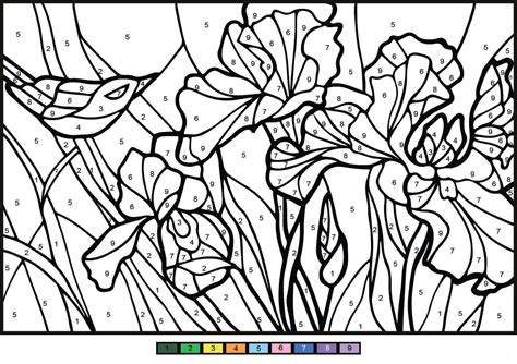 To learn more about using color in html, see applying color to html elements using css. Irises Color by Number in 2020 | Coloring pages, Coloring ...