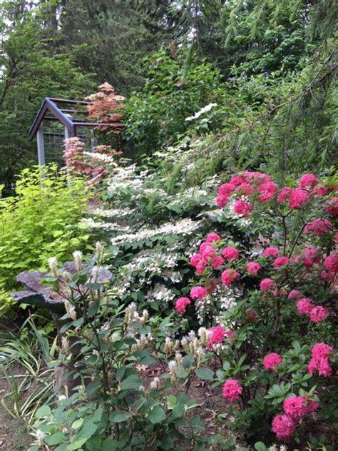 How to reclaim an overgrown garden. From Overgrown to Gorgeous - FineGardening in 2020 ...