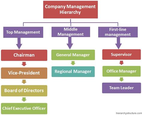 Company Management Hierarchy Structure Hierarchy Structure