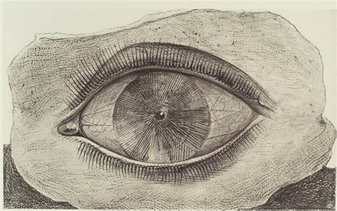 Fig 3 Max Ernst Wheel Of Light Collotype After Frottage Printed