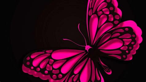 Hd Wallpaper Pink Butterfly 2020 Live Wallpaper Hd