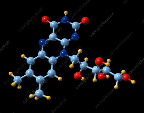 Vitamin B2 Molecular Model Stock Image A6140079 Science Photo Library