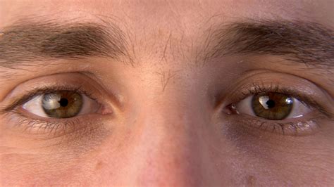 Close-up Male Human Eye. Macro Pupil Cornea Iris Eyeball Eyelashes ...
