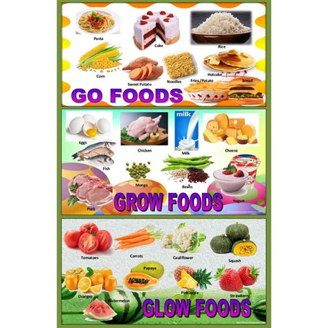 Go Grow Glow Foods Laminated Educational A4 Sizeteacher Pher