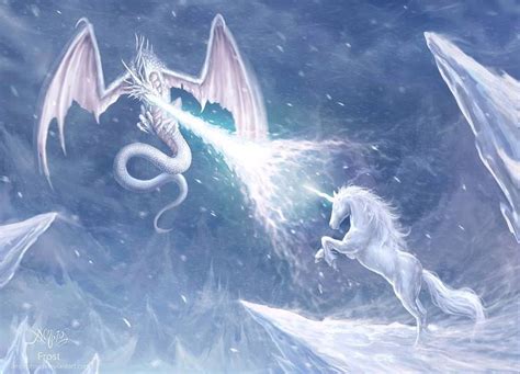 Fighting Unicorn Snow Dragon Dragon Fight Fairy Dragon Fantasy